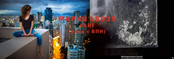 PSILOCYBIN Заволжск