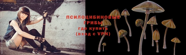 бошки Тайга
