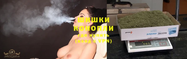 прущие крисы Елизово
