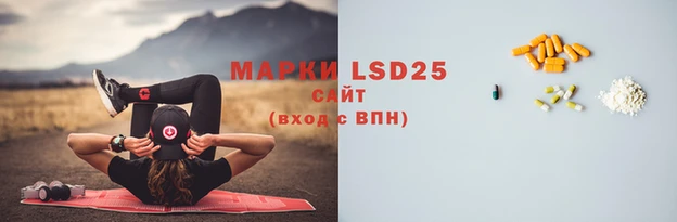 PSILOCYBIN Заволжск